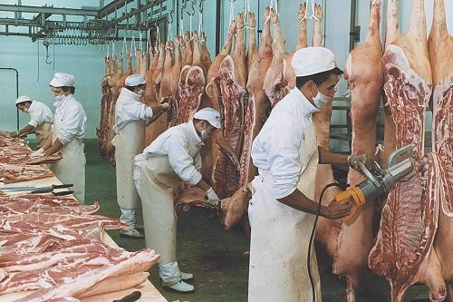 Fotos industriales - Cortando carne