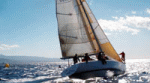 Charter, alquiler de embarcaciones en Tenrife